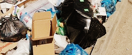 Вывоз мусора в Пушкино