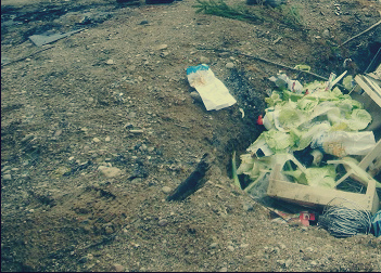 Вывоз мусора в Шатурском районе