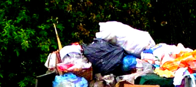 Вывоз мусора в Ленинском районе Московской области