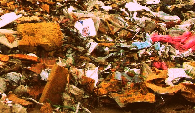 Вывоз мусора в Балашихе